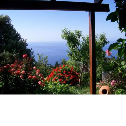 Studio Froso