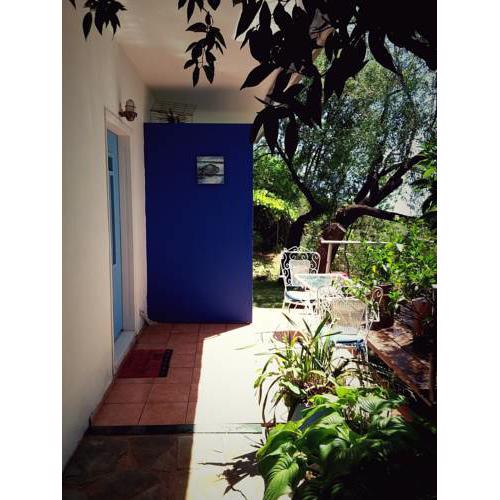Studio Paliovoros, Nikiana 311 00