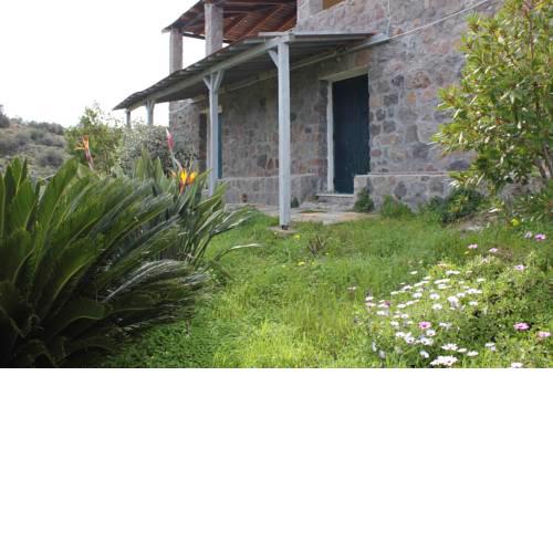 Studio Roinos