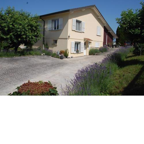 Studio Sud meublé - jardin et pool