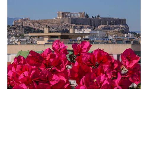 Studio with private terrace and view of Acropolis!