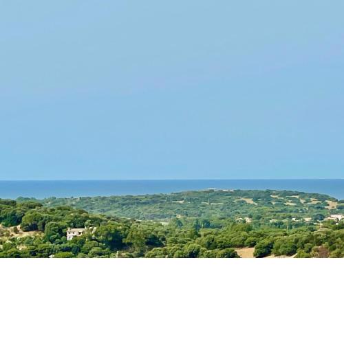 Studios con vista