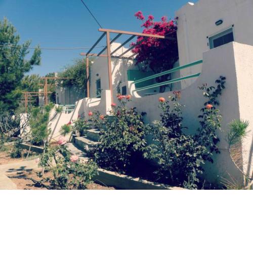 Studios Crete 2