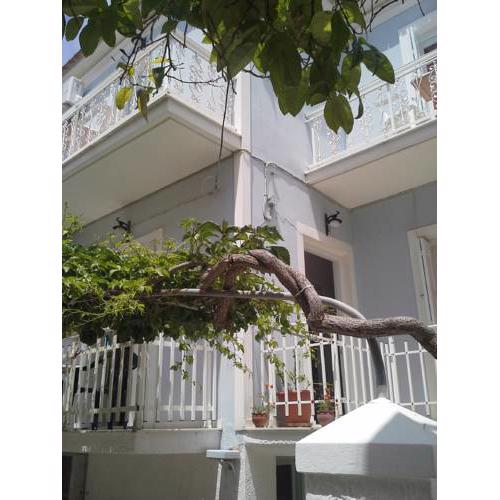 Studios Patra