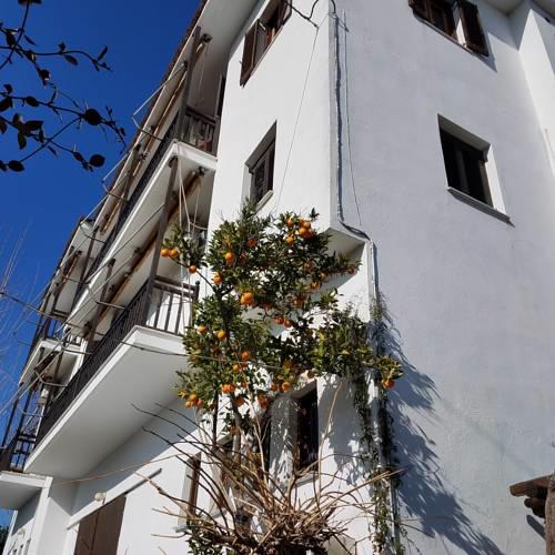 Studios Zina