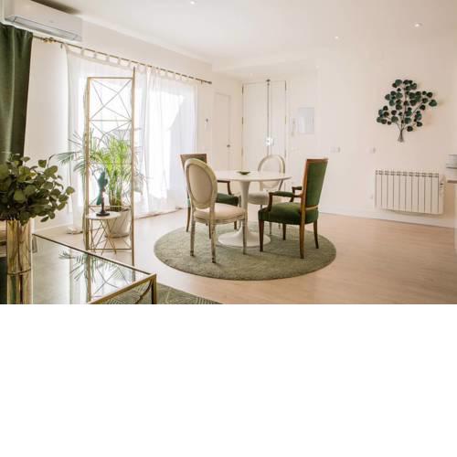 Stunning 1 bed w/sunny terrace in Madrid Center