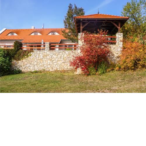 Stunning home in Balatonzölös w/ Sauna, WiFi and 6 Bedrooms