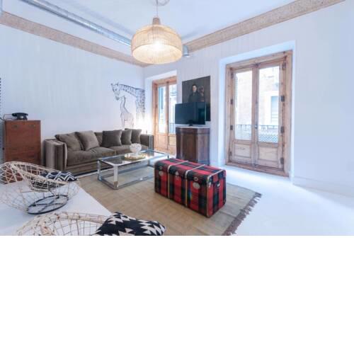 Stunning One Bedroom Apartment in the heart of Madrid
