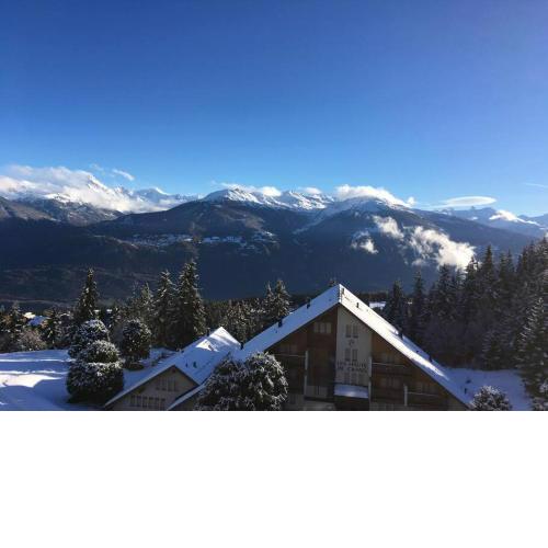 Stunning view over the Swiss Alps - Ski in & out