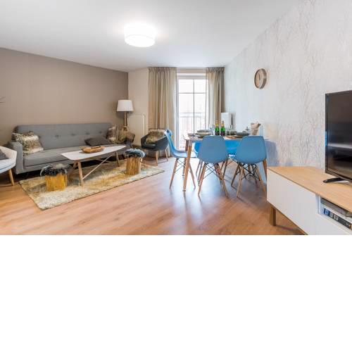style SCANDINAVIA LARGE apartment