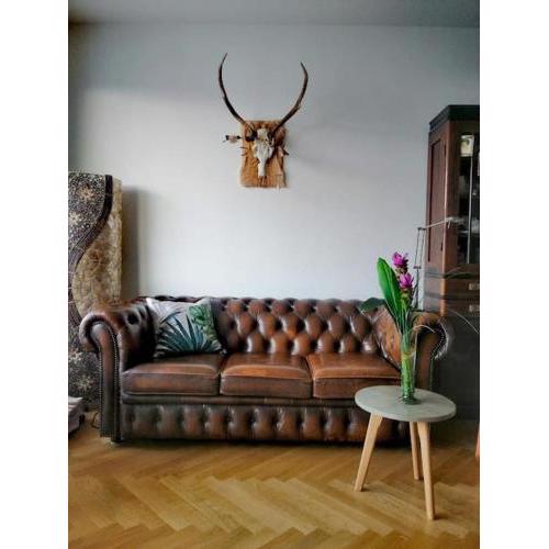 Stylische Wohnung mit großem Balkon in toller Lage