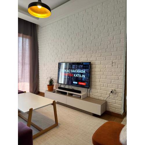 Stylish and spacious house