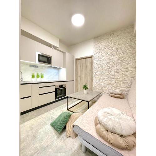 Stylish apartment in the center on Sokolska street