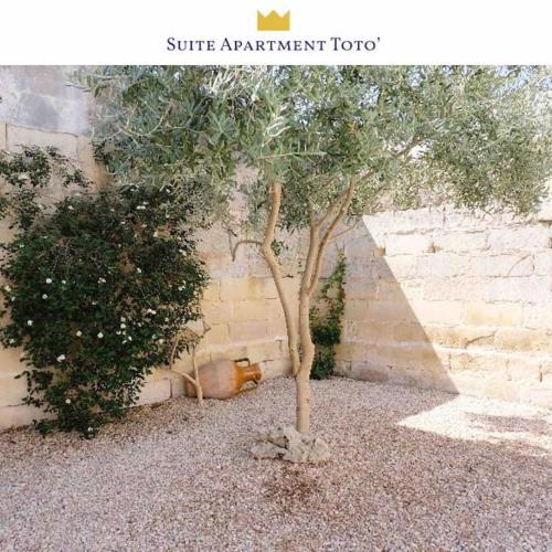 Suite Apartment Toto'