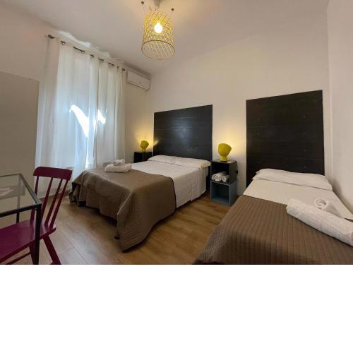 Suite Falisci