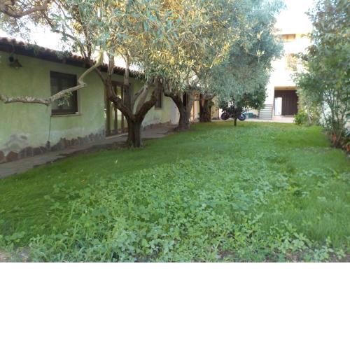 'suite' gli ulivi dei nonni IUN P3279