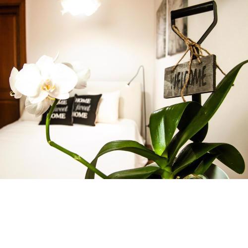 Suite Home Al Centro Di Sassari