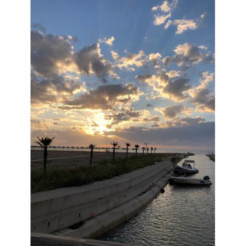 Summer by the Sea