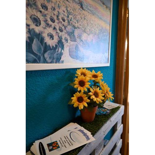 Sunflower Salamanca
