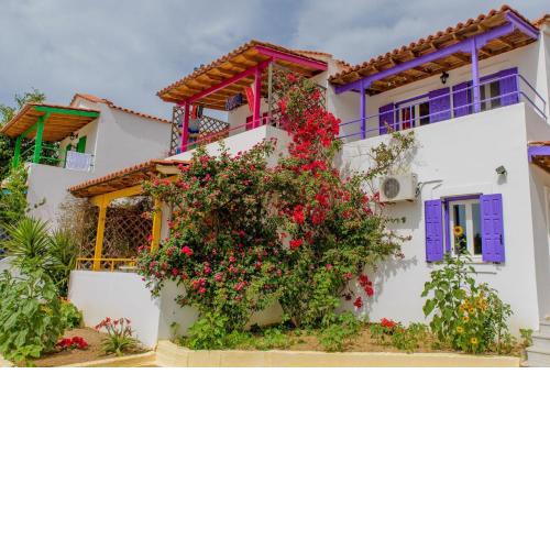 Sunflowers Apartments & Studios