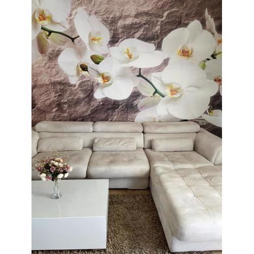 SunKissed Centre Apartment