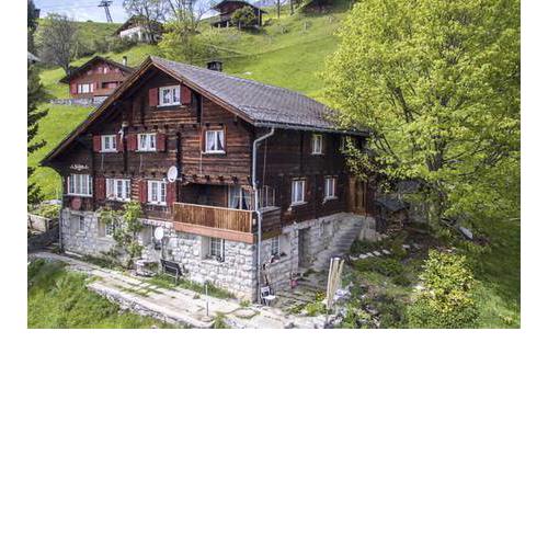 Sunnehuesli