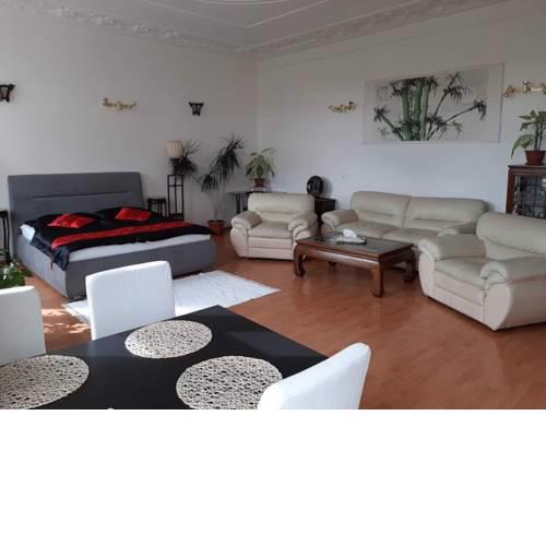 Sunny apartment near the Wenceslav Square