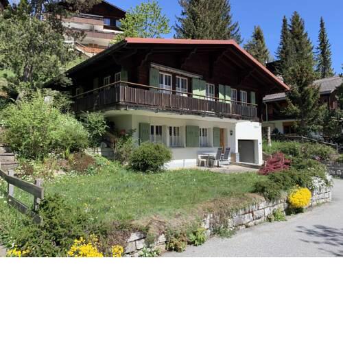 Sunny Chalet Haselmus Grindelwald