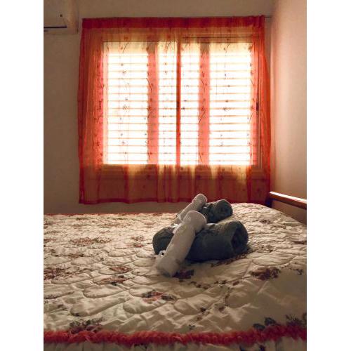 Sunny & Comfortable Apartment