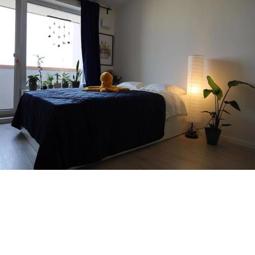 Sunny cozy apartment