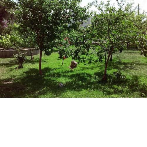 Sunny garden studio