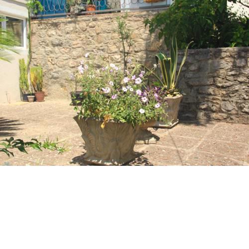 Sunny Garden