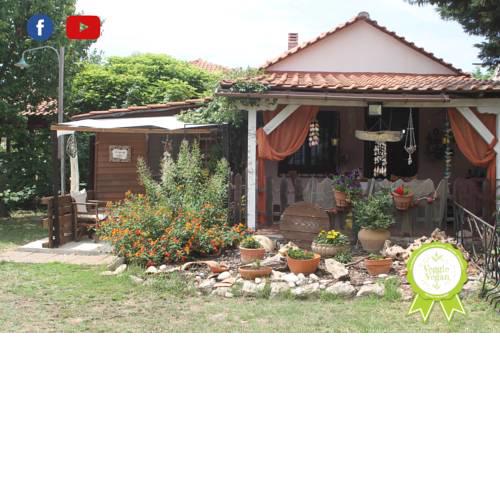 Sunrise Cottage House