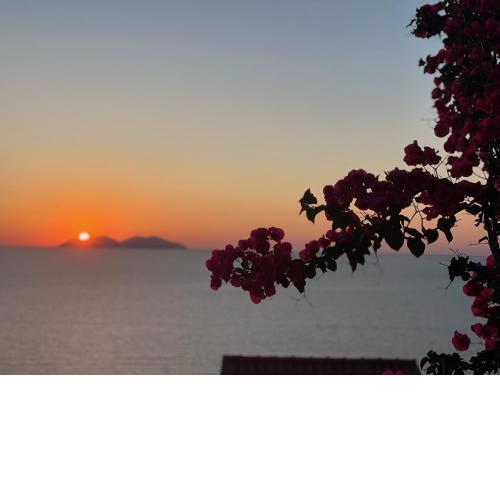 Sunset Sol Guest House
