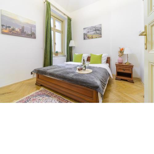 Superior apartments 50m near Dlouha street