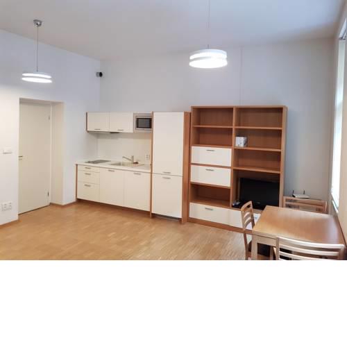 Superior Suite Charvatova