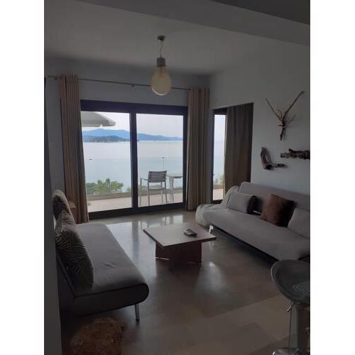 Superior Suite Cronus