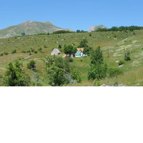 Pluzine County 