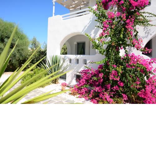 SUSANNE'S HOUSE