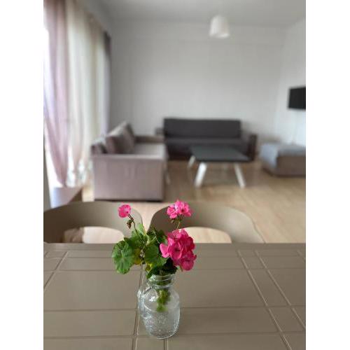 Suzi apartment