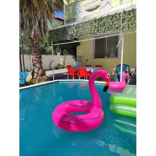 Swimming pool and garden view rooms for rent
