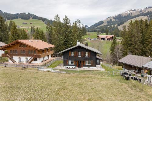 Swiss Alps Chalet by Swiss Hotel Apartments