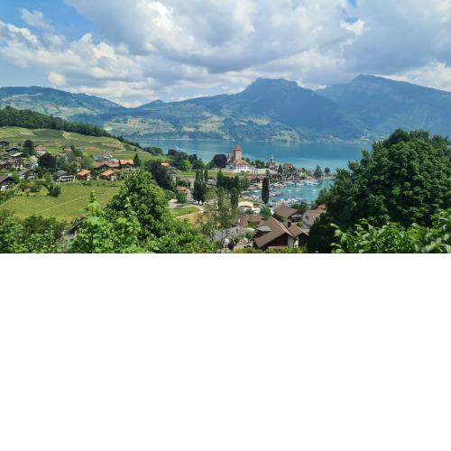 Swiss Holiday Apartments