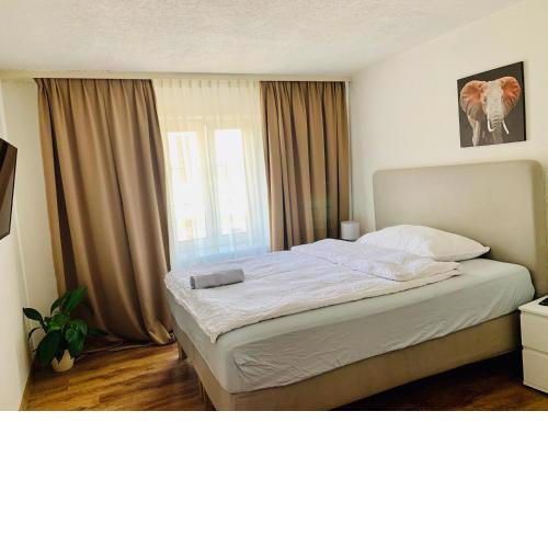 Swiss Hotel Krummen Eich Pratteln Free Parking