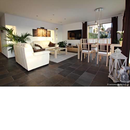 Swiss Lakeview Apartment