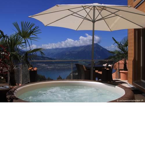 Swiss Mountain View Apartment