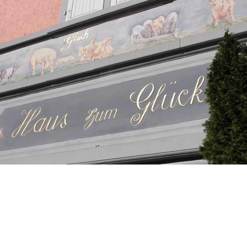 Swiss Star Oerlikon Inn