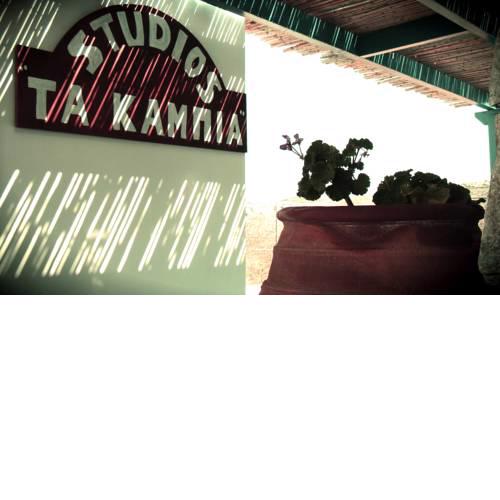 Ta Kabia Studios
