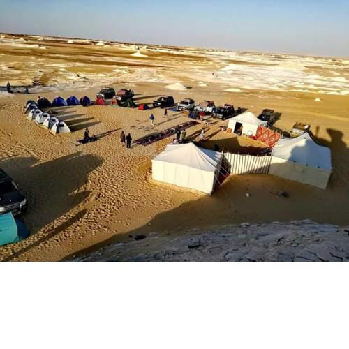Tamer Safari Tours