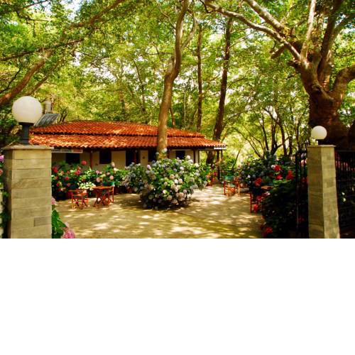Tasoula Parselia Studios